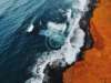 Ecosystems Keep Suffering